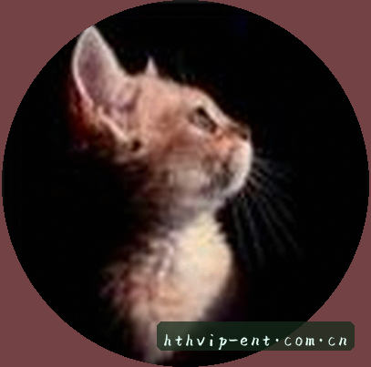 王磊